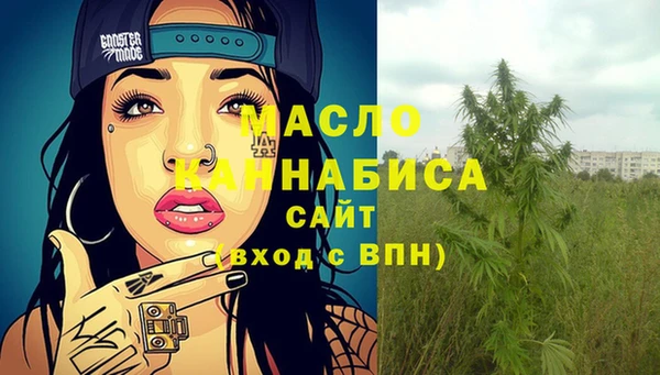 шишки Новозыбков