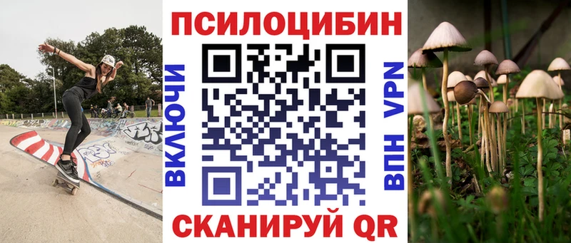 Галлюциногенные грибы Cubensis  Полярные Зори 